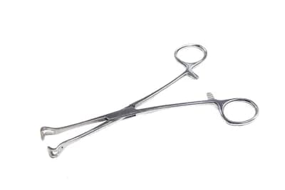 Pinça Babcock
