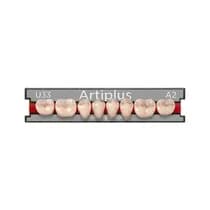 Dente ArtiPlus Posterior Inferior - Dentsply
