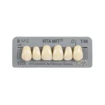 Dente Vita MFT Anterior Superior - Wilcos