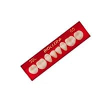 Dente Biocler GII Posterior Superior - DentBras