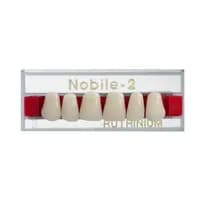 Dente Nobile-2 Anterior Inferior - Ruthinium