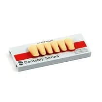 Dente Biotone Anterior Inferior - Dentsply Sirona
