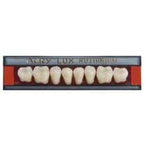 Dente Acrylux Posterior Inferior - Ruthinium