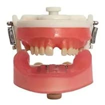 Manequim Implantodontia PD 108 - Pronew