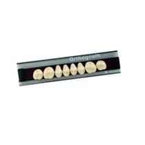 Dente Orthognath Posterior Superior - Kulzer