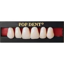 Dente Popdent Anterior Superior - VIPI