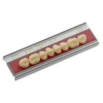 Dente VIPI Dent Plus Posterior Superior - VIPI