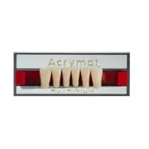 Dente Acrymat Anterior Inferior - Ruthinium