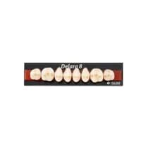 Dente Delara Posterior Superior - Kulzer