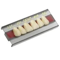 Dente Vipi Dent Anterior/Superior - VIPI