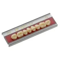 Dente VIPI Dent Posterior Superior - VIPI