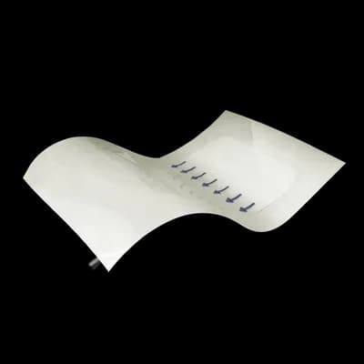 Wound Care F Filme Transparente Estéril