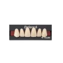 Dente Delara B Anterior Superior - Kulzer