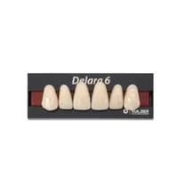 Dente Delara C Anterior Superior - Kulzer