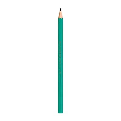 LÁPIS PRETO SEXTAVADO EVOLUTION HB N°2 BIC