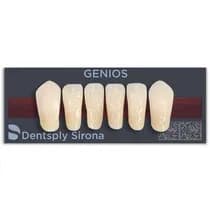 Dente Genios Anterior Inferior - Dentsply Sirona