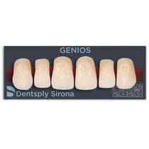 Dente Genios Anterior Superior - Dentsply Sirona