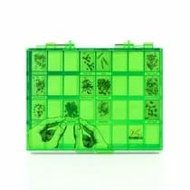 Estojo Plástico Organizador - Morelli