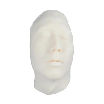 Simulador para Treinamento de Injeção Facial em Silicone com Osso