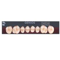 Dente Genios Posterior Inferior - Dentsply Sirona