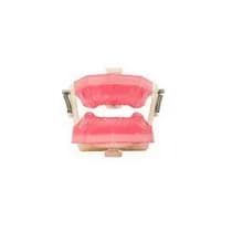Manequim Top Endodontia PD107 - Pronew