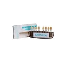 Escala de Cores Biotone - Dentsply Sirona