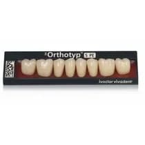 Dente SR Orthotyp S PE Posterior Superior - Ivoclar