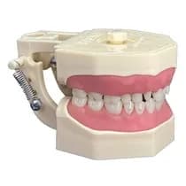 Manequim Materiais Dentários 210N - Orais