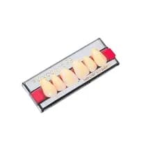 Dente SR Vivodent PE Anterior Superior SA15 1E - Ivoclar