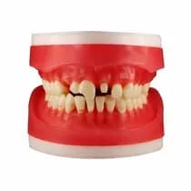 Refil Manequim Materiais Dentarios Ac100 - Pronew
