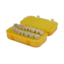 Macro Dentes Superior/Inferior Esquerdo 16 Dentes - Pronew