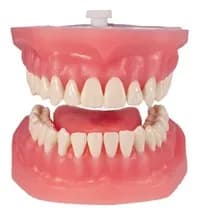 Refil Manequim com Língua AC102 - Pronew