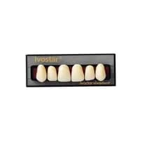 Dente Ivostar A-D Anterior Superior - Ivoclar