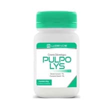 Cimento Provisório Pulpo Lys Pó - Lysanda
