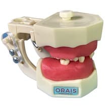 Manequim Cirurgia Articulado - Orais