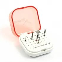 Kit Ponta Diamantada Invicta - Facetas Lâminadas - American Burrs