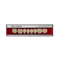 Dente Acrymat Posterior Inferior - Ruthinium