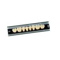 Dente Orthognath Posterior Inferior - Kulzer