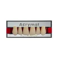 Dente Acrymat Anterior Superior - Ruthinium