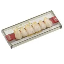 Dente Trilux Anterior Inferior - VIPI