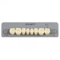 Dente Vita MFT Posterior Inferior - Wilcos