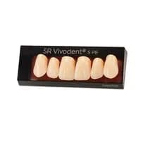 Dente SR Vivodent S PE Anterior Superior - Ivoclar
