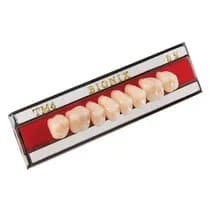 Dente Bionix Posterior Superior - Triunfo