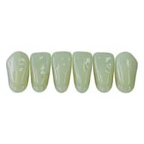 Dente New Ace Anterior Inferior B1 - Kota