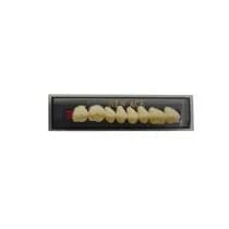 Dente New Ace Posterior/Superior - Kota