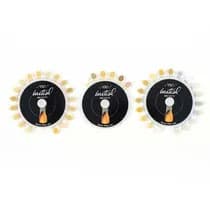 Escala de Cor Shade Guide Basic PLS Set MC/LF/TI - GC