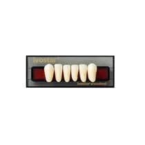 Dente Ivostar A-D Anterior Inferior I15 - Ivoclar