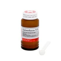 Cimento Endodôntico Endomethasone N Pó 14g - Septodont