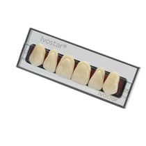 Dente Ivostar A-D Anterior Superior
