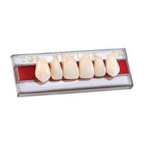 Dente Newlux Anterior Superior
